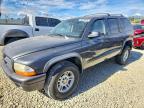 DODGE DURANGO 2002