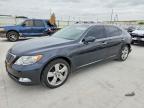 LEXUS LS 2007