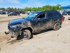 TOYOTA RAV4 2021
