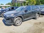 TOYOTA RAV4 2024