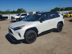 TOYOTA RAV4 2024
