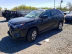 TOYOTA RAV4 2024