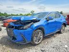 LEXUS NX 2022