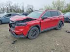 HONDA CR-V 2024