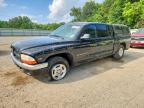 DODGE DAKOTA 2001
