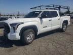 TOYOTA TUNDRA 2026