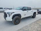 TOYOTA TUNDRA 2024