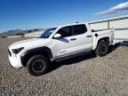 TOYOTA TACOMA 2025
