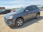 TOYOTA RAV4 2019