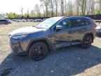 TOYOTA RAV4 2025