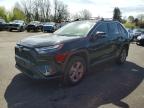 TOYOTA RAV4 HYBRID 2024