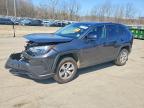 TOYOTA RAV4 2024