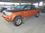 TOYOTA TACOMA 2005