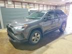 TOYOTA RAV4 2023
