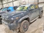 TOYOTA TACOMA 2024