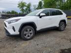 TOYOTA RAV4 2022