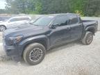 TOYOTA TACOMA 2025