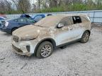 KIA SORENTO 2019