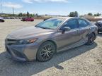 TOYOTA CAMRY 2023