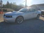 FORD MUSTANG 2001