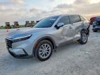 HONDA CR-V 2026
