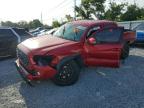 TOYOTA TACOMA 2023