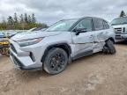 TOYOTA RAV4 2024
