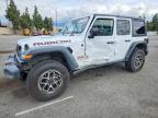 JEEP WRANGLER 2024