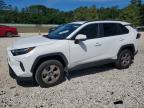 TOYOTA RAV4 2025