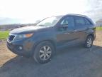 KIA SORENTO 2011