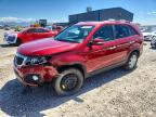 KIA SORENTO 2011