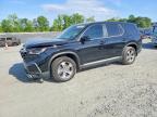 HONDA PILOT 2025