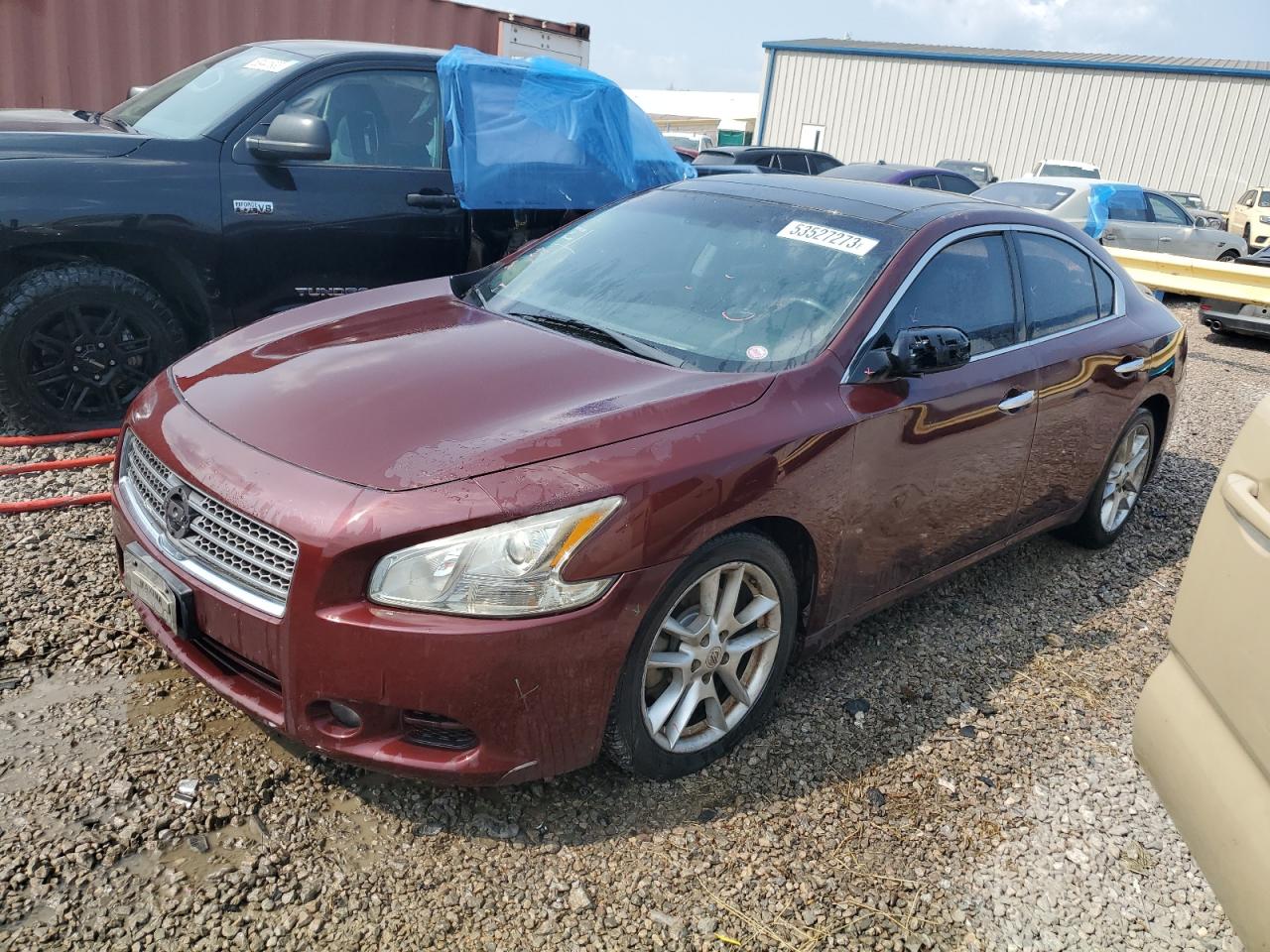 Nissan Maxima 2011