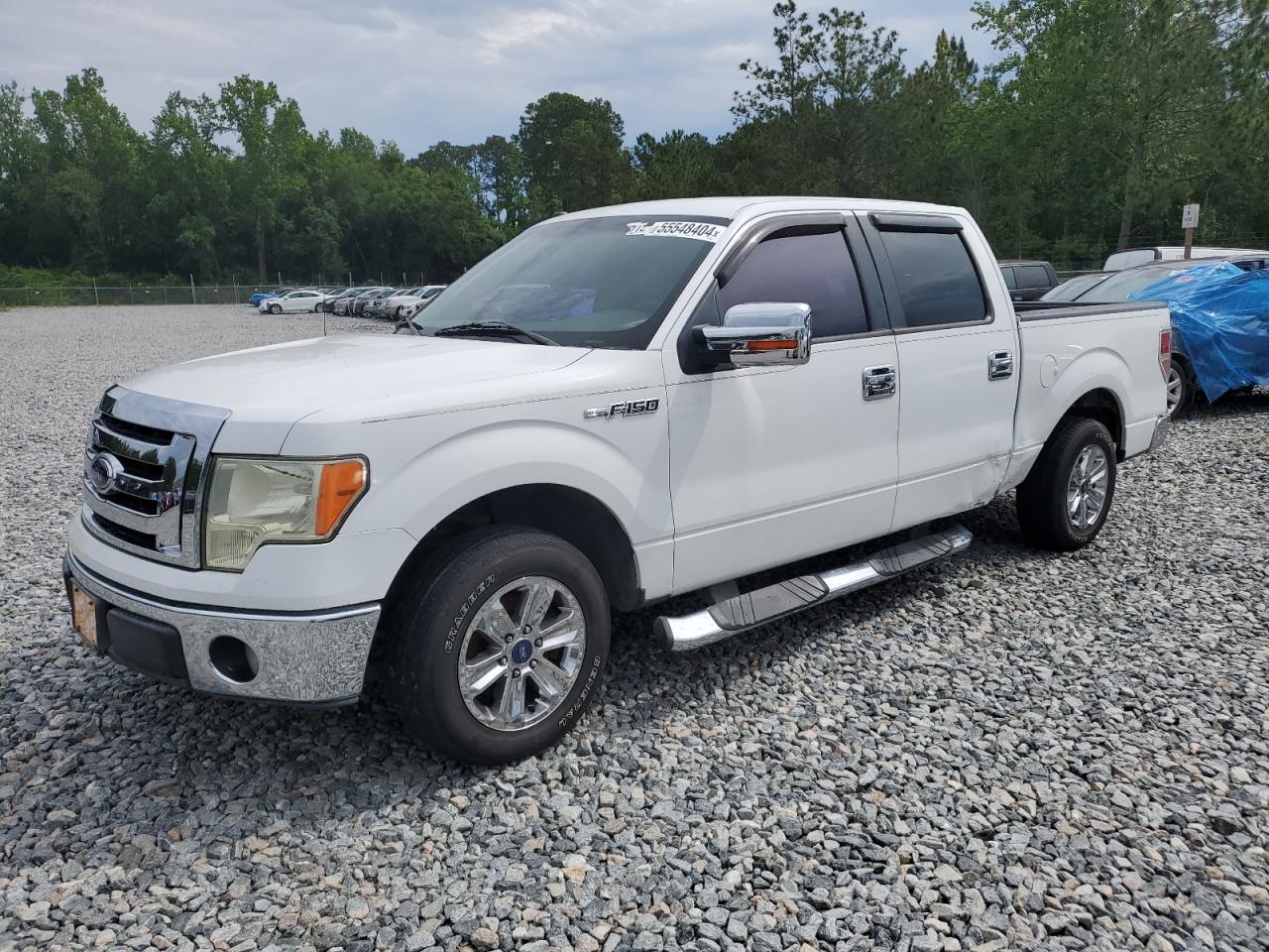 FORD F-150 2009