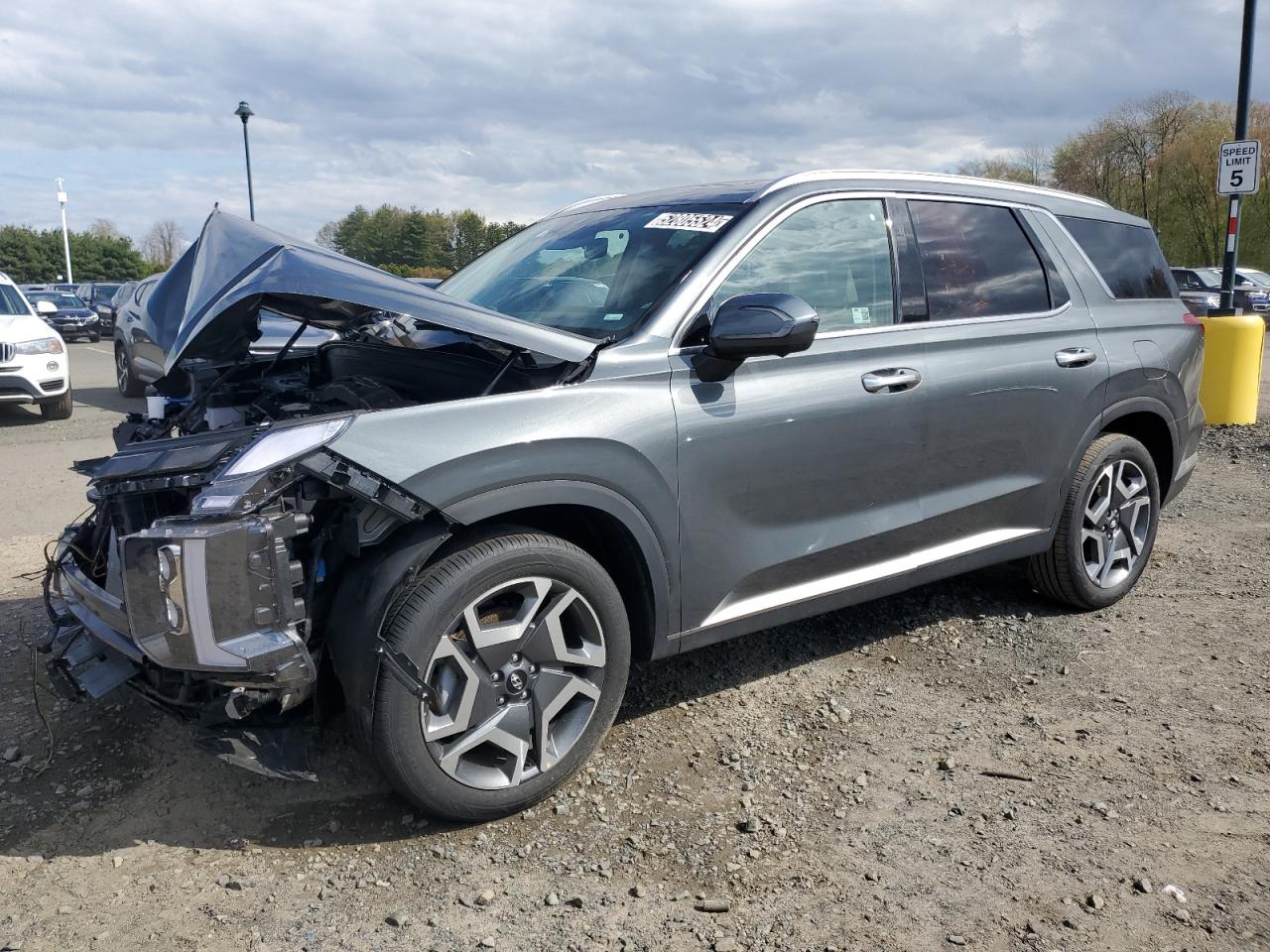 Hyundai Palisade 2024