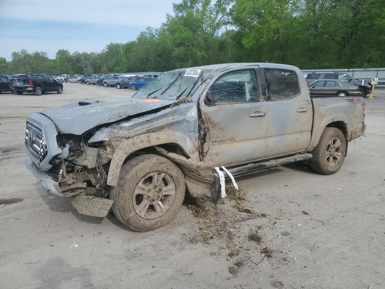 TOYOTA TACOMA 2019