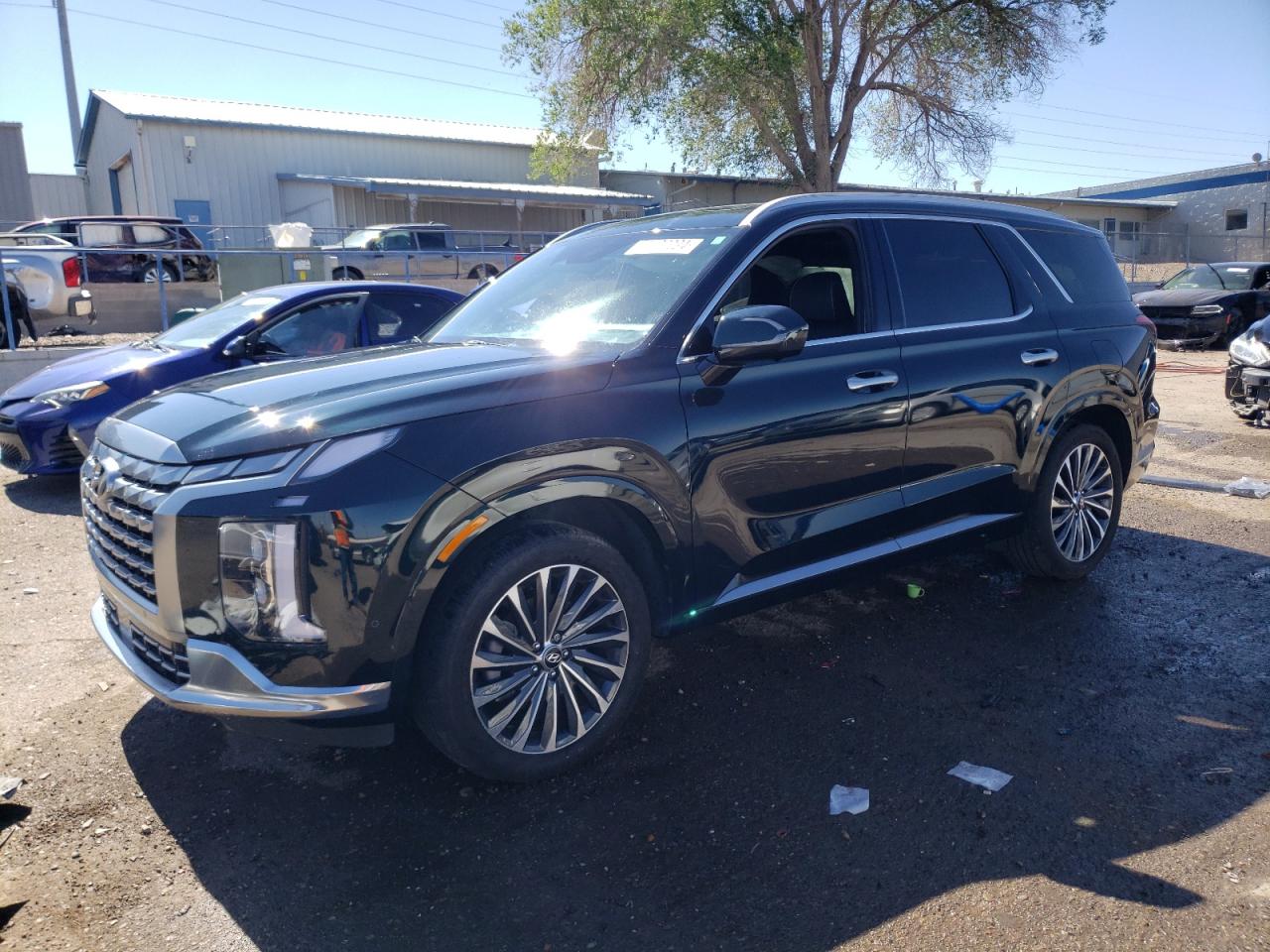 HYUNDAI PALISADE C 2024