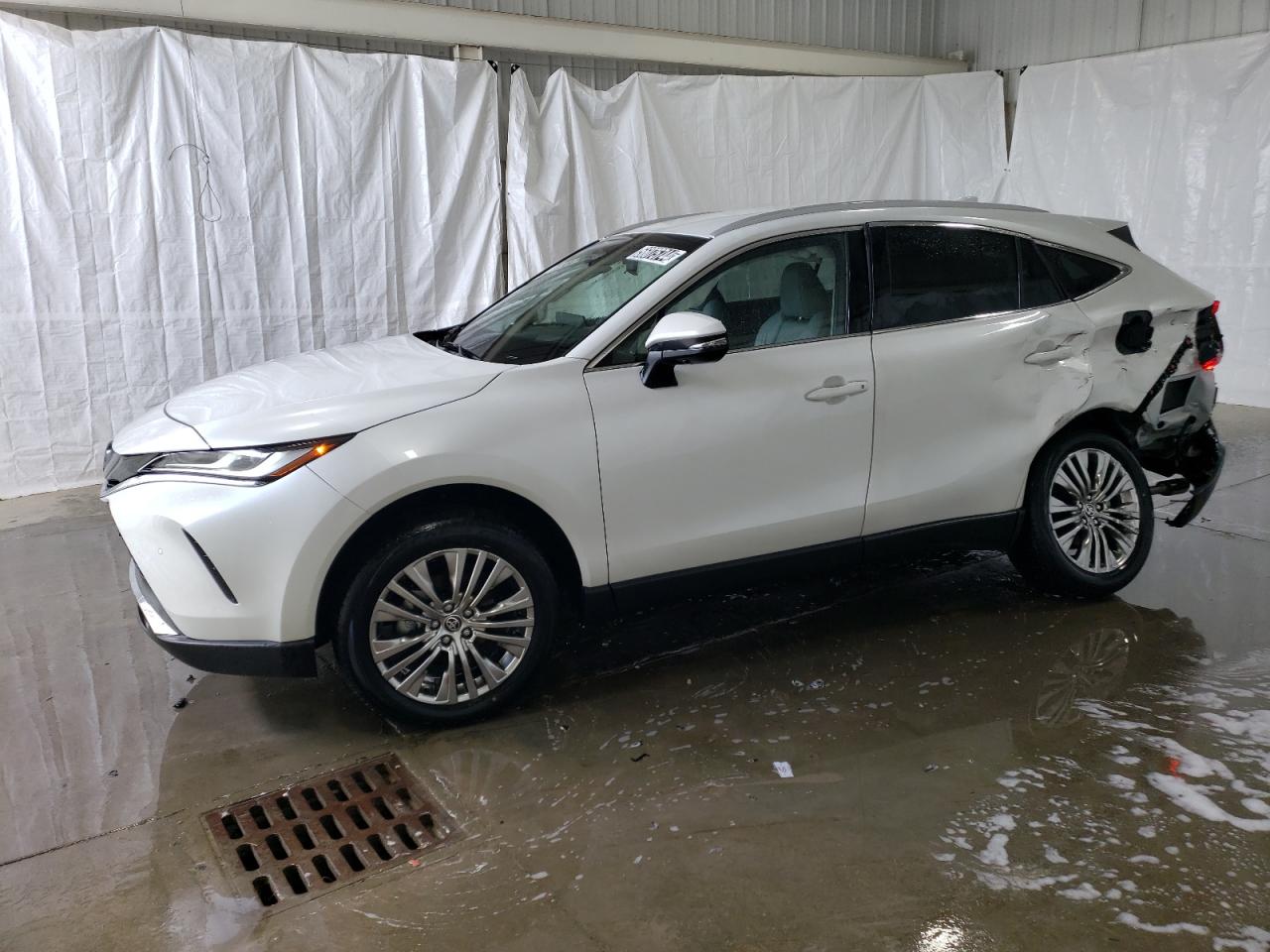 TOYOTA VENZA 2023