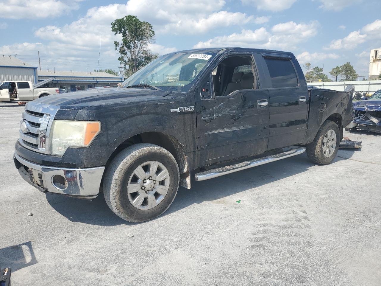 FORD F-150 2009