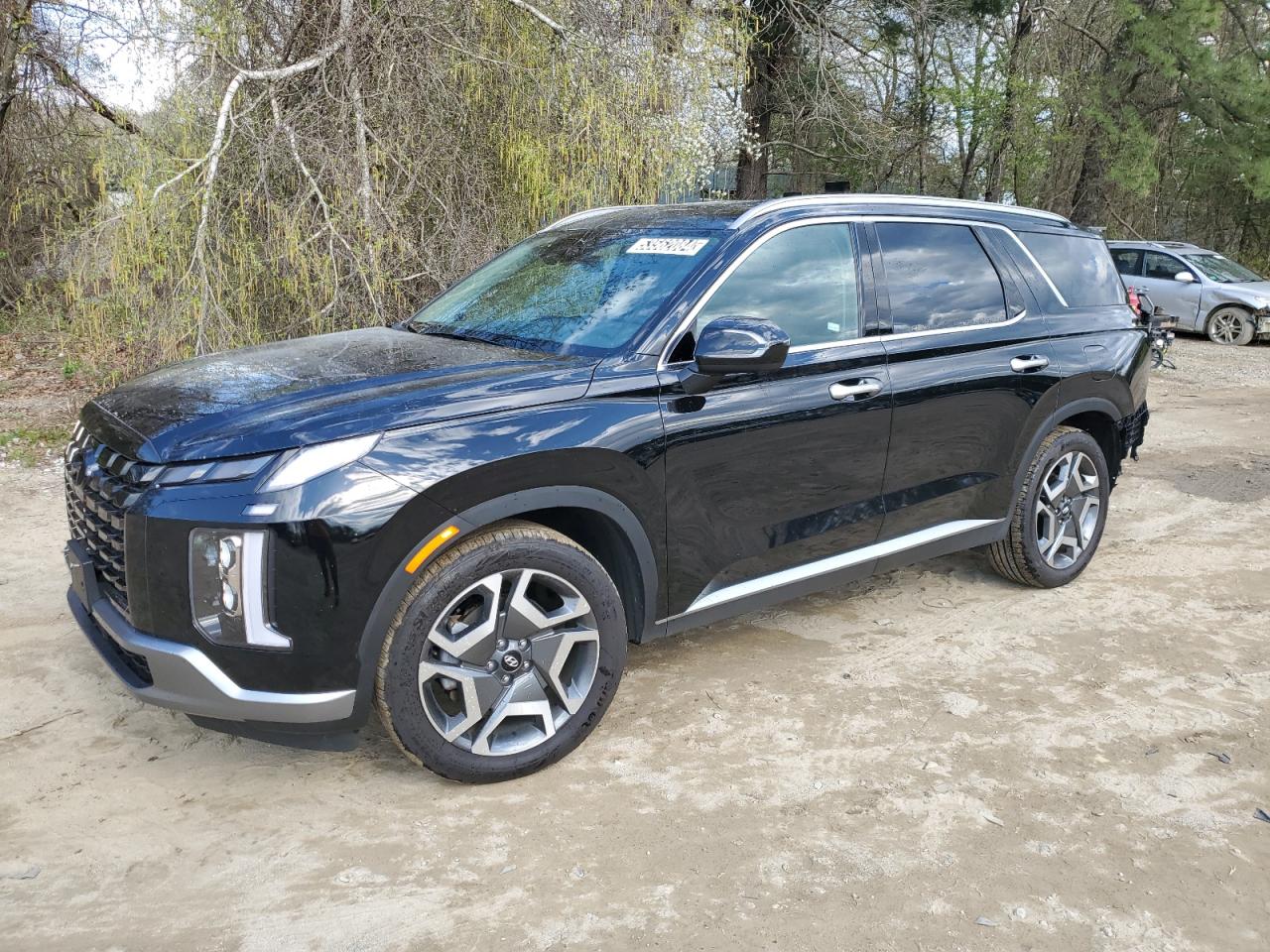 Hyundai Palisade 2024