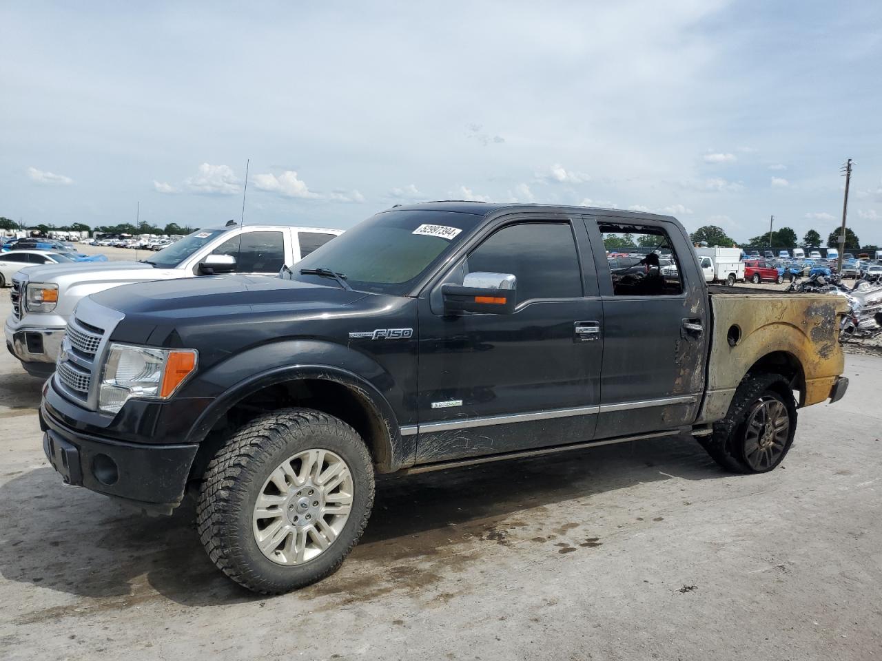 FORD F-150 2012