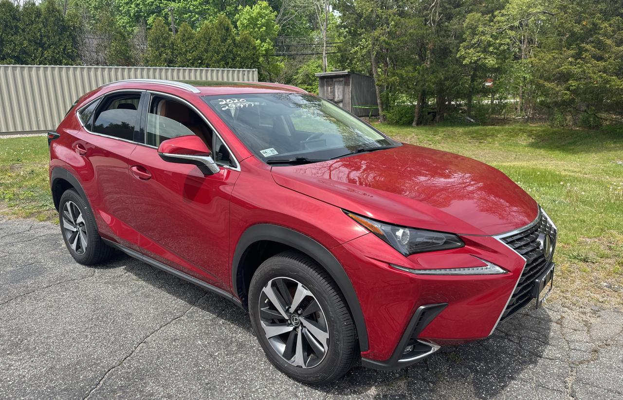 Lexus Nx 300 2020