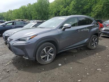 Lexus Nx 2021