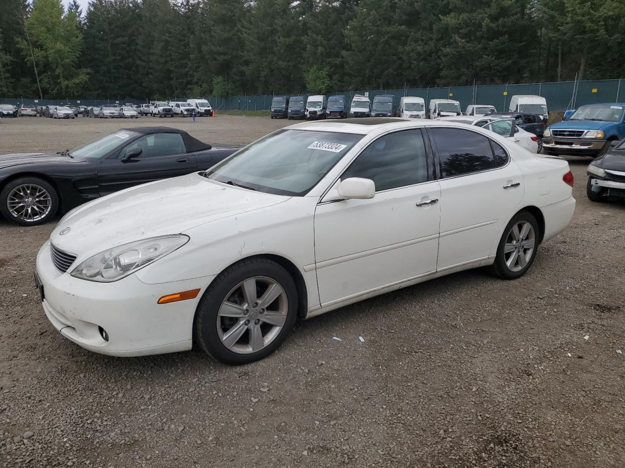 Lexus Es 330 2005