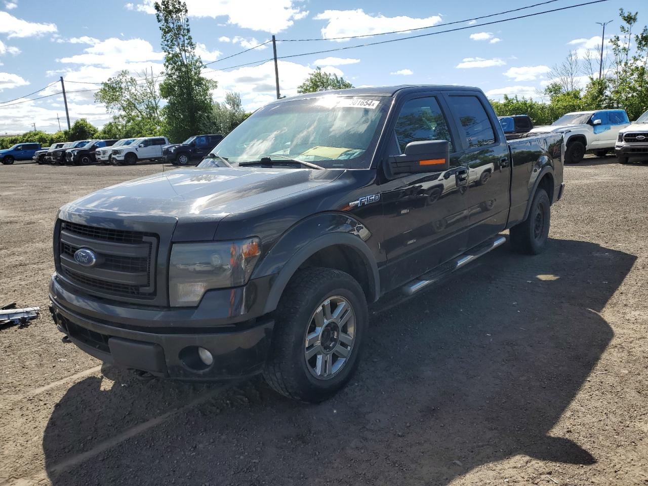 FORD F-150 2014