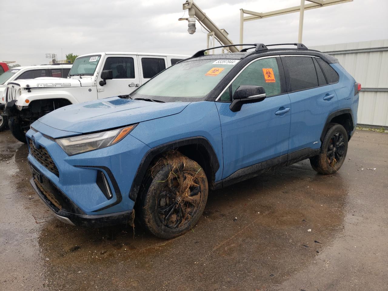 TOYOTA RAV4 2023