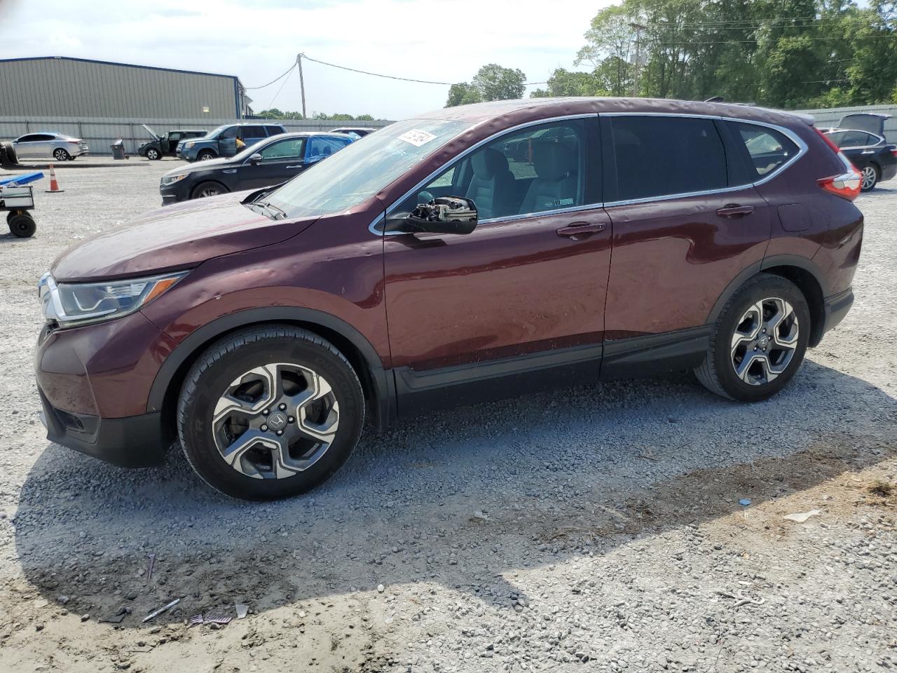 Honda Cr-v 2019