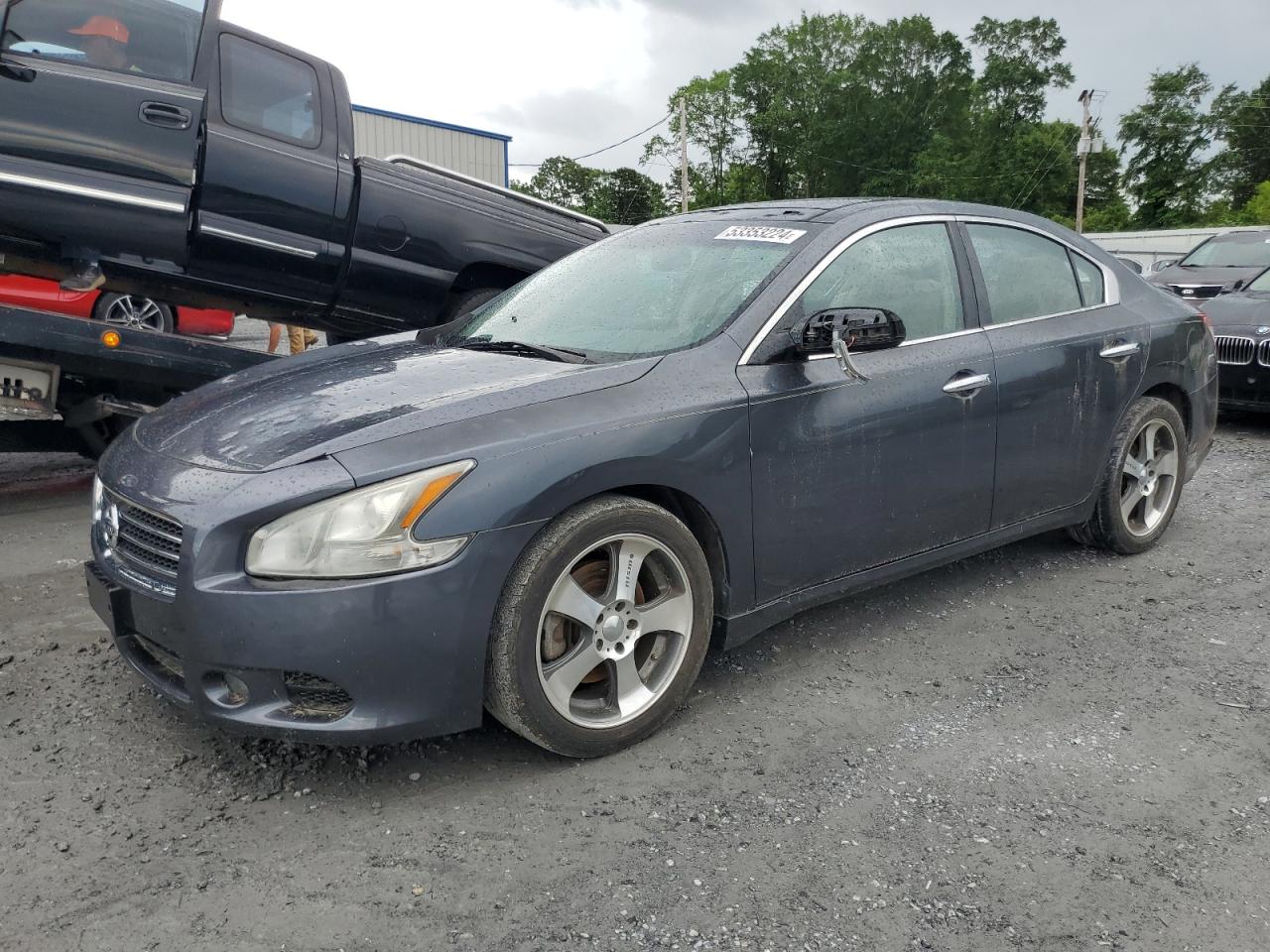 NISSAN MAXIMA 2010