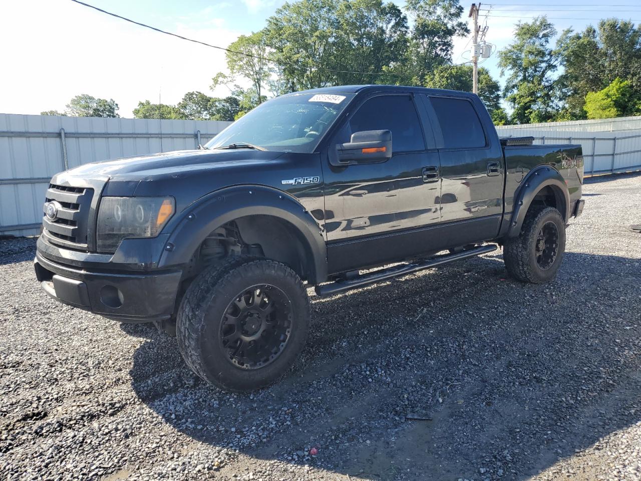 FORD F-150 2010