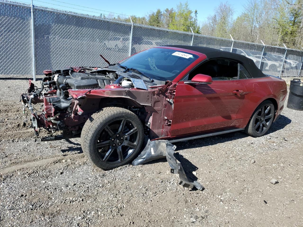 FORD MUSTANG 2019